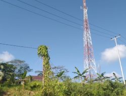 Masyarakat Pulau Taliabu Akhirnya Nikmati Jaringan 4G