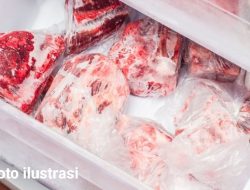 Diam-diam Kantor IPK Logistik di Kalumpang Pasok Ribuan Kilogram Daging Babi